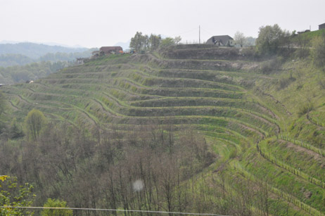 eika image